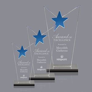 McKinley Star Award 