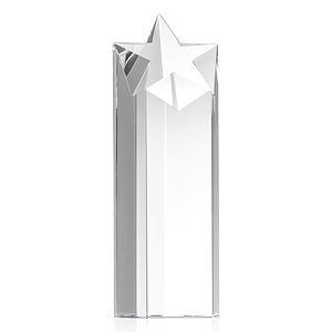 Berkely Star VividPrint™ Award