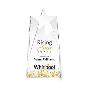 Millington Star VividPrint™ Award