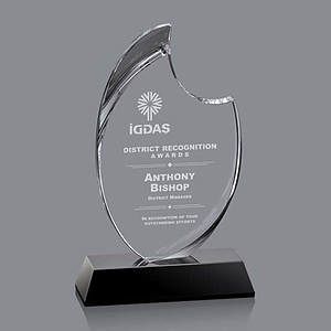 Waldorf Award