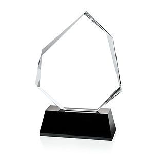 Warner Award - Black
