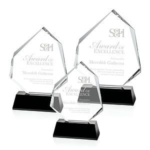 Warner Award - Black