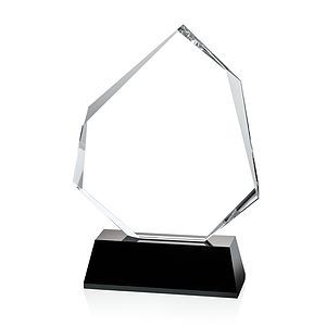 Warner Award - Black