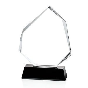Warner Award - Black