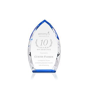 Wilton Award - Blue