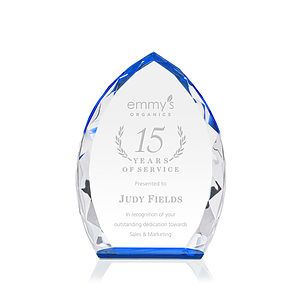 Wilton Award - Blue