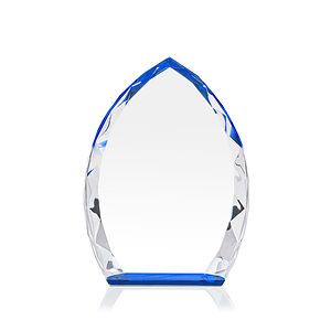 Wilton Award - Blue