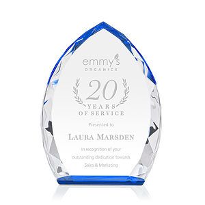 Wilton Award - Blue
