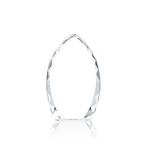 Wilton Award - Clear