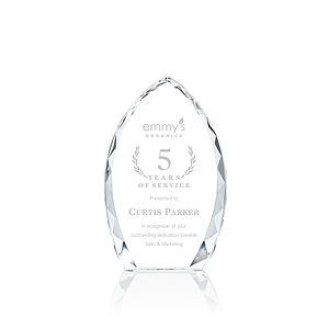 Wilton Award - Clear