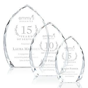 Wilton Award - Clear