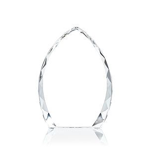 Wilton Award - Clear