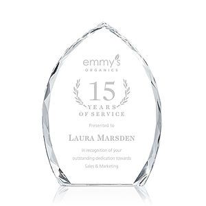 Wilton Award - Clear