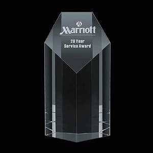 Auburn Award