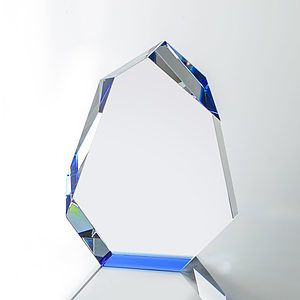 Norwood Award - Blue 
