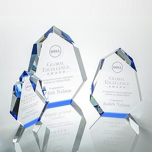 Norwood Award - Blue 