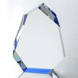 Norwood Award - Blue 