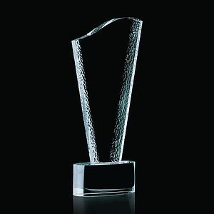 Maddox Award