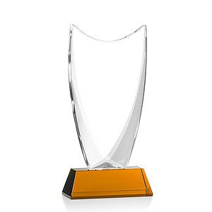 Dawkins Award - Amber