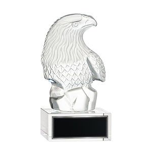 Fredricton Eagle Award on Hancock
