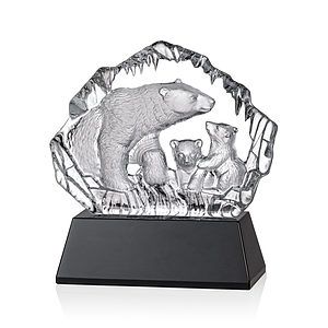 Ottavia Polar Bears Award