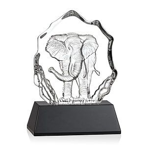Ottavia Elephant Award