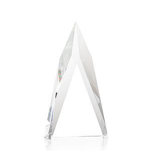 Salisbury VividPrint™ Award