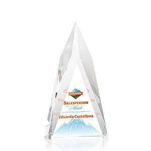 Salisbury VividPrint™ Award