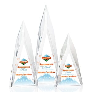 Salisbury VividPrint™ Award