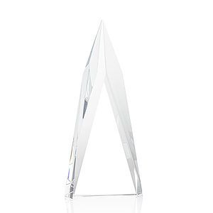 Salisbury VividPrint™ Award