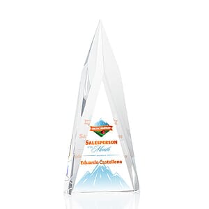 Salisbury VividPrint™ Award