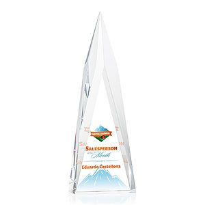 Salisbury VividPrint™ Award