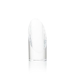 Lauder VividPrint™ Award