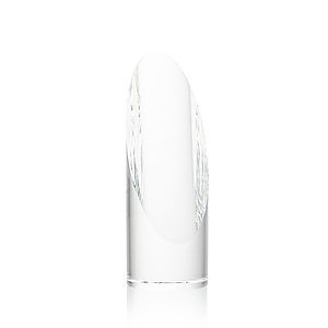 Lauder VividPrint™ Award