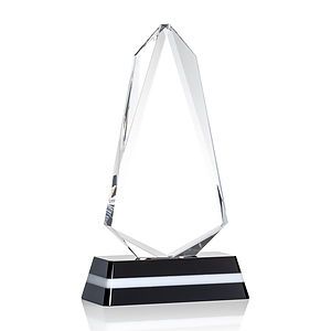 Fogacci VividPrint™ Award