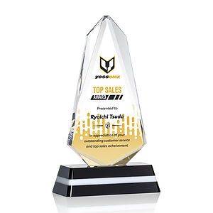 Fogacci VividPrint™ Award