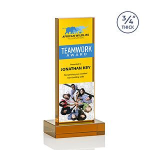 Hathaway VividPrint™ Award - Amber