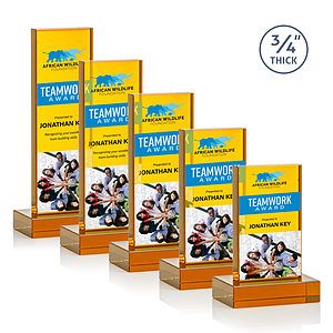 Hathaway VividPrint™ Award - Amber