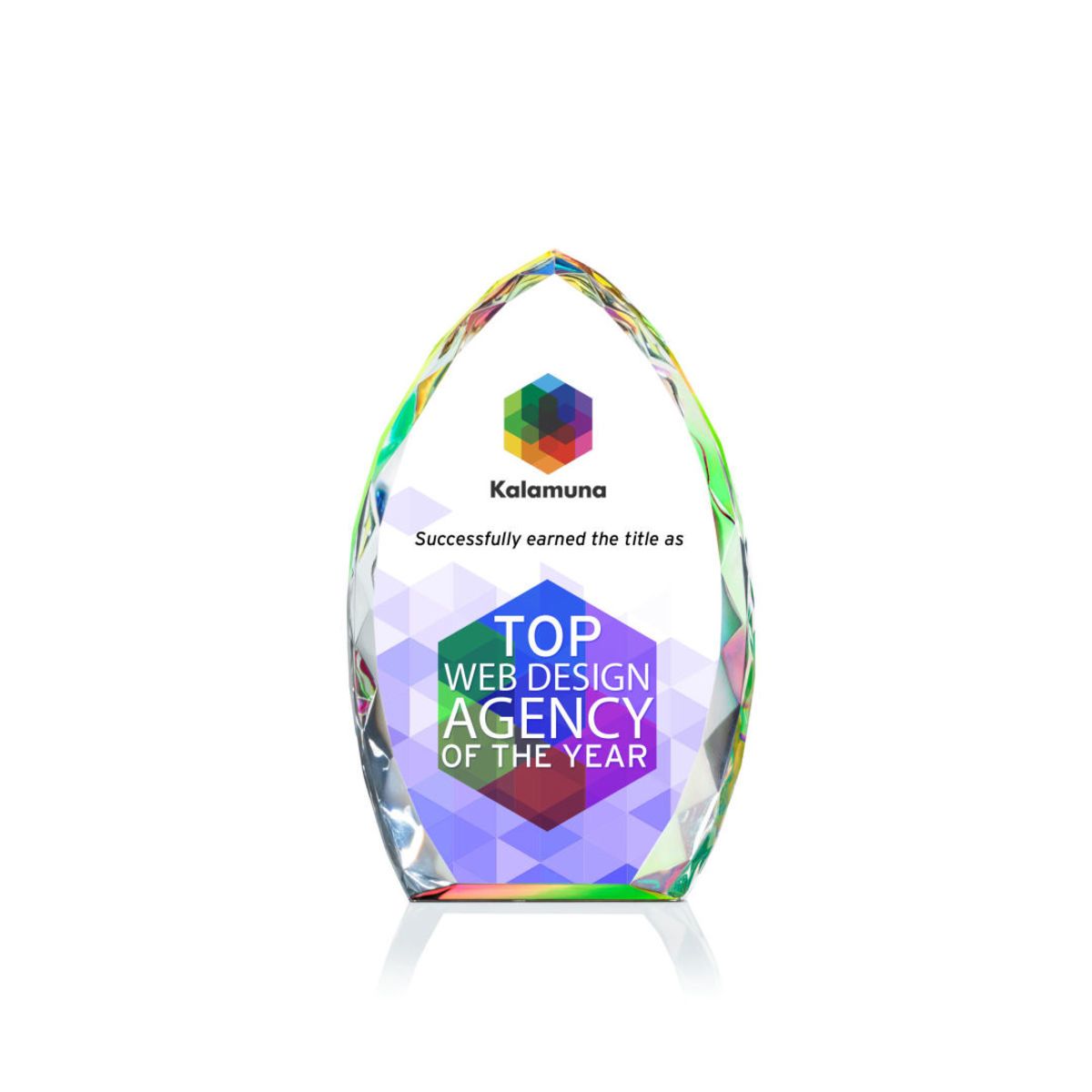 Wilton VividPrint™ Award - Prismatic