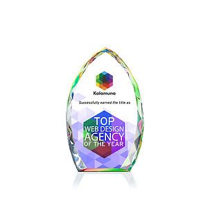 Wilton VividPrint™ Award - Prismatic