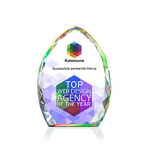 Wilton VividPrint™ Award - Prismatic