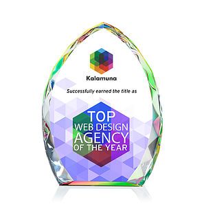 Wilton VividPrint™ Award - Prismatic