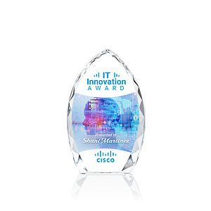 Wilton VividPrint™ Award - Clear