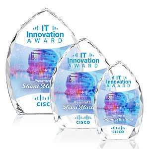 Wilton VividPrint™ Award - Clear