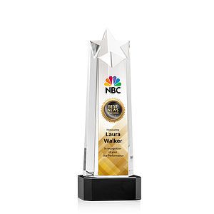 Delaware Star VividPrint™ Award on Base - Black