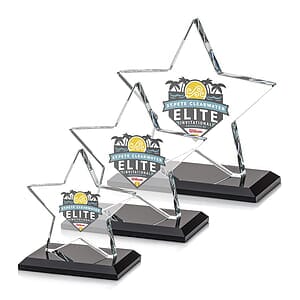 Sudbury Star VividPrint™ Award - Black