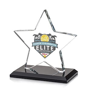Sudbury Star VividPrint™ Award - Black