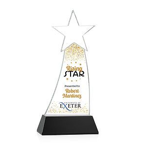 Manolita VividPrint™ Award - Black