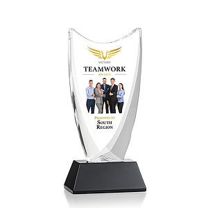 Dawkins VividPrint™ Award - Black