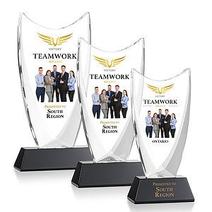 Dawkins VividPrint™ Award - Black
